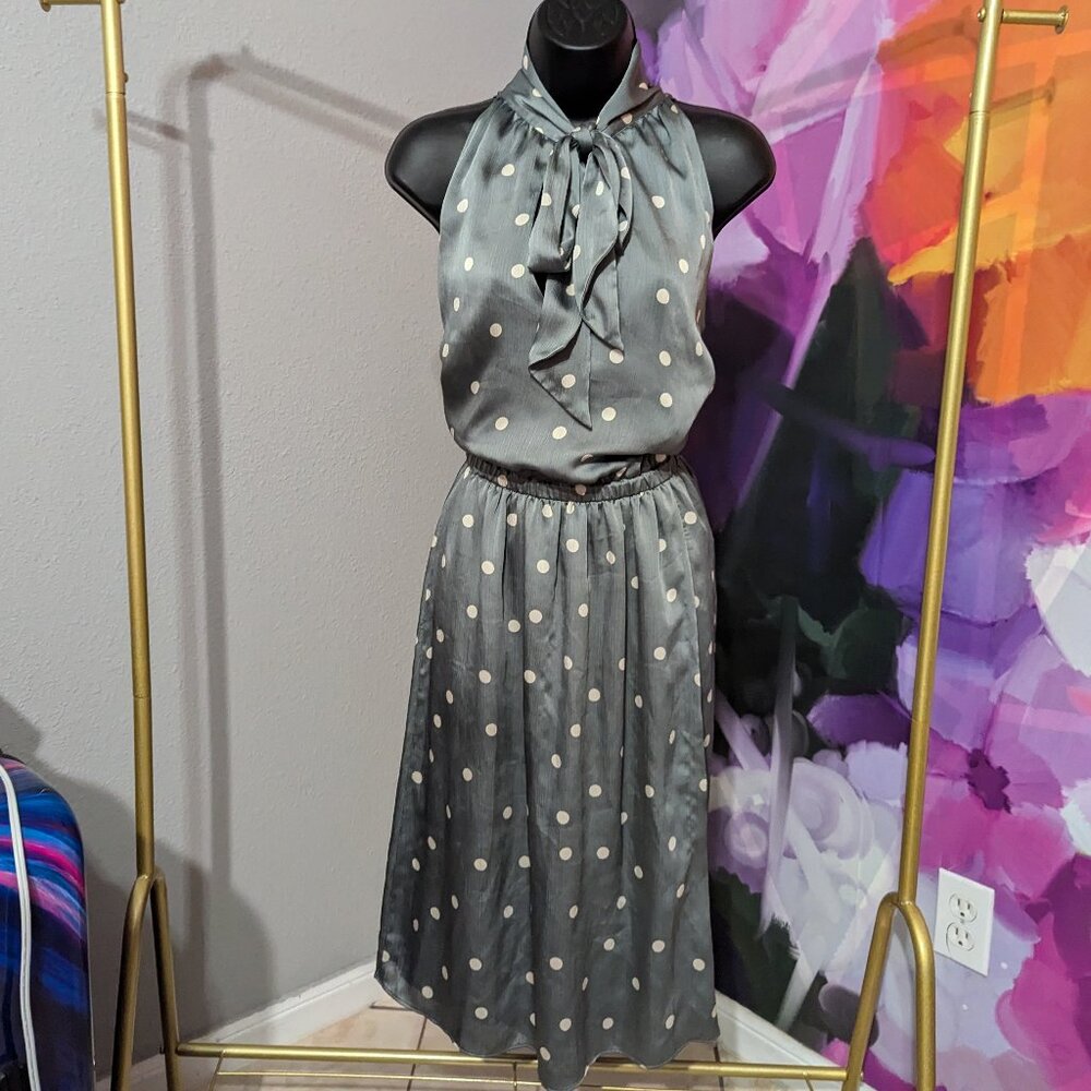 Polka Dot Dress